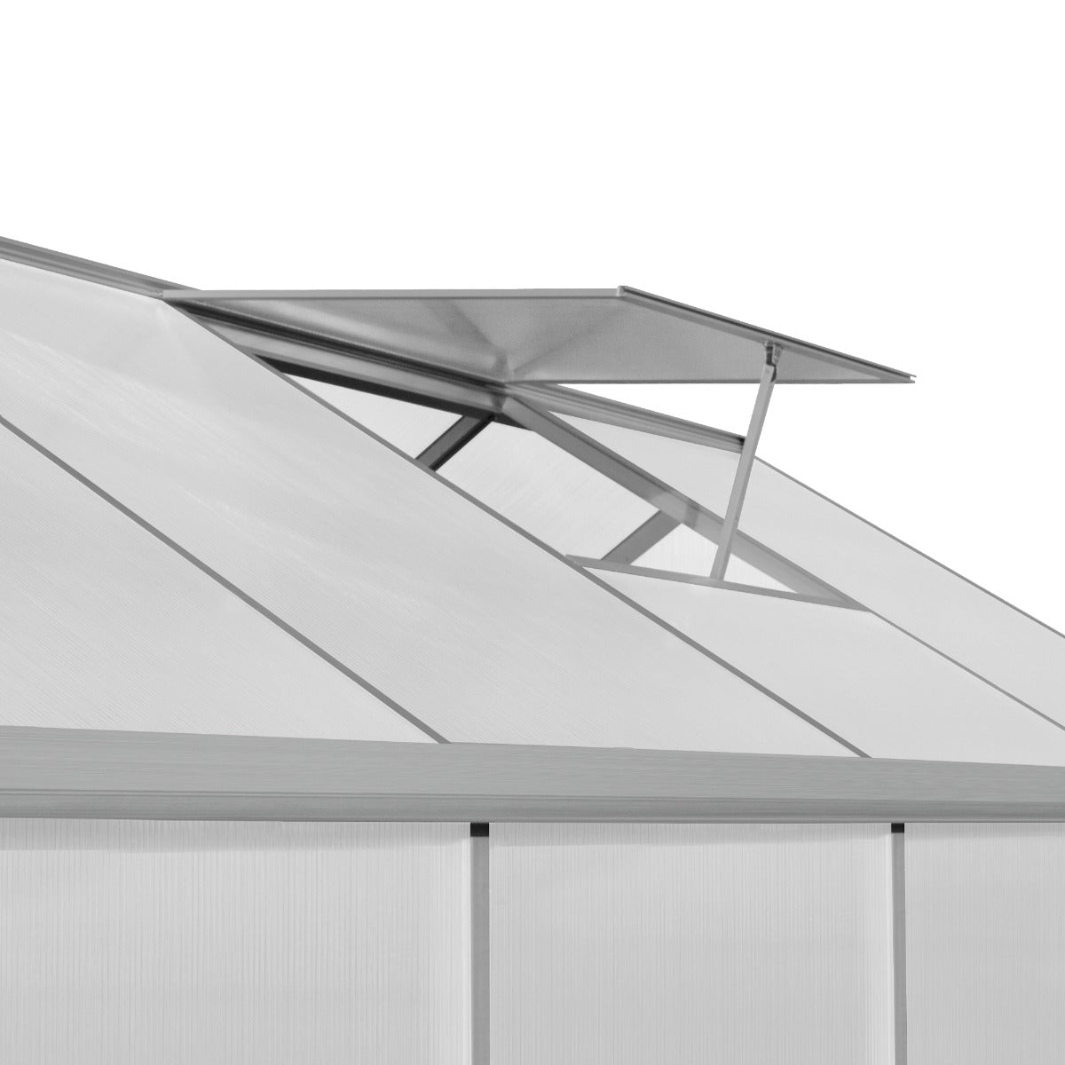 Tuinkas - Polycarbonaat - 180 x 320 x 194 cm - Zilver