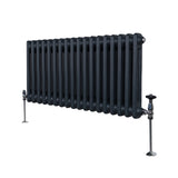 Traditionele 2 Kolom Radiator - 300 x 832mm - Antraciet Grijs