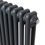 Traditionele 2 Kolom Radiator - 300 x 832mm - Antraciet Grijs