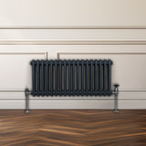 Traditionele 2 Kolom Radiator - 300 x 832mm - Antraciet Grijs