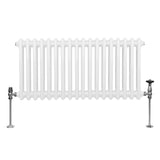 Traditionele 2 Kolom Radiator - 300 x 832mm - Wit