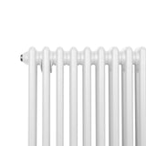 Traditionele 2 Kolom Radiator - 300 x 832mm - Wit