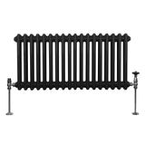 Traditionele 2 Kolom Radiator - 300 x 832mm - Zwart