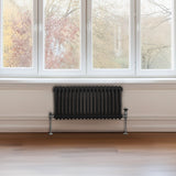 Traditionele 2 Kolom Radiator - 300 x 832mm - Zwart