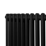 Traditionele 2 Kolom Radiator - 300 x 832mm - Zwart