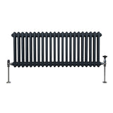 Traditionele 2 Kolom Radiator - 300 x 1012mm - Antraciet Grijs