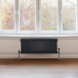 Traditionele 2 Kolom Radiator - 300 x 1012mm - Antraciet Grijs