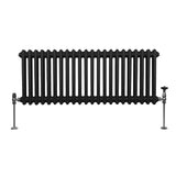 Traditionele 2 Kolom Radiator - 300 x 1012mm - Zwart