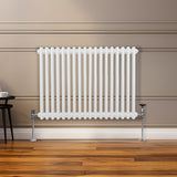 Traditionele 2 Kolom Radiator - 600 x 832mm - Wit