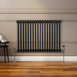 Traditionele 2 Kolom Radiator - 600 x 832mm - Zwart