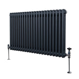 Traditionele 2 Kolom Radiator - 600 x 1012mm - Antraciet Grijs