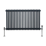 Traditionele 2 Kolom Radiator - 600 x 1012mm - Antraciet Grijs