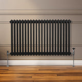 Traditionele 2 Kolom Radiator - 600 x 1012mm - Zwart