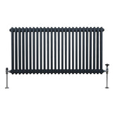 Traditionele 2 Kolom Radiator - 600 x 1192mm - Antraciet Grijs