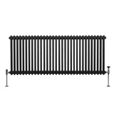 Traditionele 2 Kolom Radiator - 600 x 1462mm - Zwart