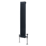 Traditionele 2-kolomsradiator - 1500 x 202 mm - Antracietgrijs