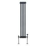 Traditionele 2-kolomsradiator - 1500 x 202 mm - Antracietgrijs