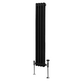 Traditionele 2-kolomsradiator - 1500 x 202 mm - Zwart