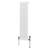 Traditionele 2-kolomsradiator - 1500 x 292 mm - Wit