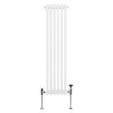 Traditionele 2-kolomsradiator - 1500 x 292 mm - Wit