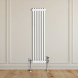 Traditionele 2-kolomsradiator - 1500 x 292 mm - Wit