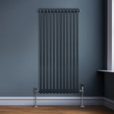 Traditionele 2-Kolom Radiator - 1500 x 562mm - Antraciet Grijs