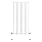 Traditionele 2-kolomsradiator - 1500 x 562 mm - Wit