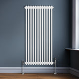 Traditionele 2-kolomsradiator - 1500 x 562 mm - Wit