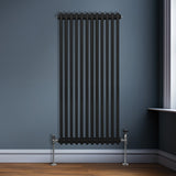 Traditionele 2-kolomsradiator - 1500 x 562 mm - Zwart