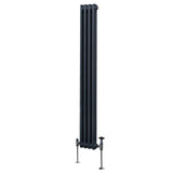 Traditionele 2-kolomsradiator - 1800 x 202 mm - Antracietgrijs