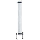 Traditionele 2-kolomsradiator - 1800 x 202 mm - Antracietgrijs