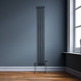 Traditionele 2-kolomsradiator - 1800 x 202 mm - Antracietgrijs