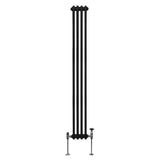 Traditionele 2-kolomsradiator - 1800 x 202 mm - Zwart