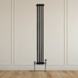 Traditionele 2-kolomsradiator - 1800 x 202 mm - Zwart