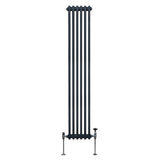 Traditionele 2-kolomsradiator - 1800 x 292 mm - Antracietgrijs