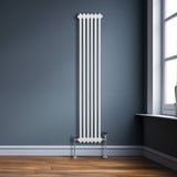 Traditionele 2-kolomsradiator - 1800 x 292 mm - Wit