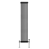 Traditionele 2-kolomsradiator - 1800 x 292 mm - Zwart