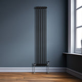 Traditionele 2-kolomsradiator - 1800 x 292 mm - Zwart