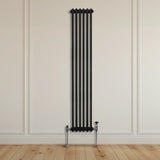 Traditionele 2-kolomsradiator - 1800 x 292 mm - Zwart