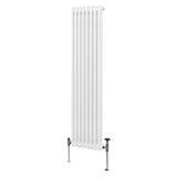 Traditionele 2-kolomsradiator - 1800 x 382 mm - Wit