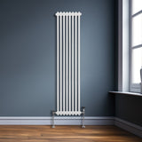 Traditionele 2-kolomsradiator - 1800 x 382 mm - Wit