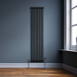 Traditionele 2-kolomsradiator - 1800 x 382 mm - Zwart