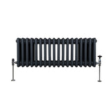 Traditionele 3 Kolom Radiator - 300 x 832mm - Antraciet Grijs