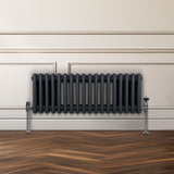 Traditionele 3 Kolom Radiator - 300 x 832mm - Antraciet Grijs