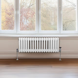 Traditionele 3 Kolom Radiator - 300 x 832mm - Wit