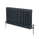 Traditionele 3 Kolom Radiator - 600 x 832mm - Antraciet Grijs