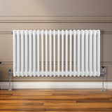 Traditionele 3 Kolom Radiator - 600 x 1012mm - Wit