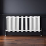 Traditionele 3 Kolom Radiator - 600 x 1192mm - Wit