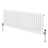 Traditionele 3 Kolom Radiator - 600 x 1462mm - Wit