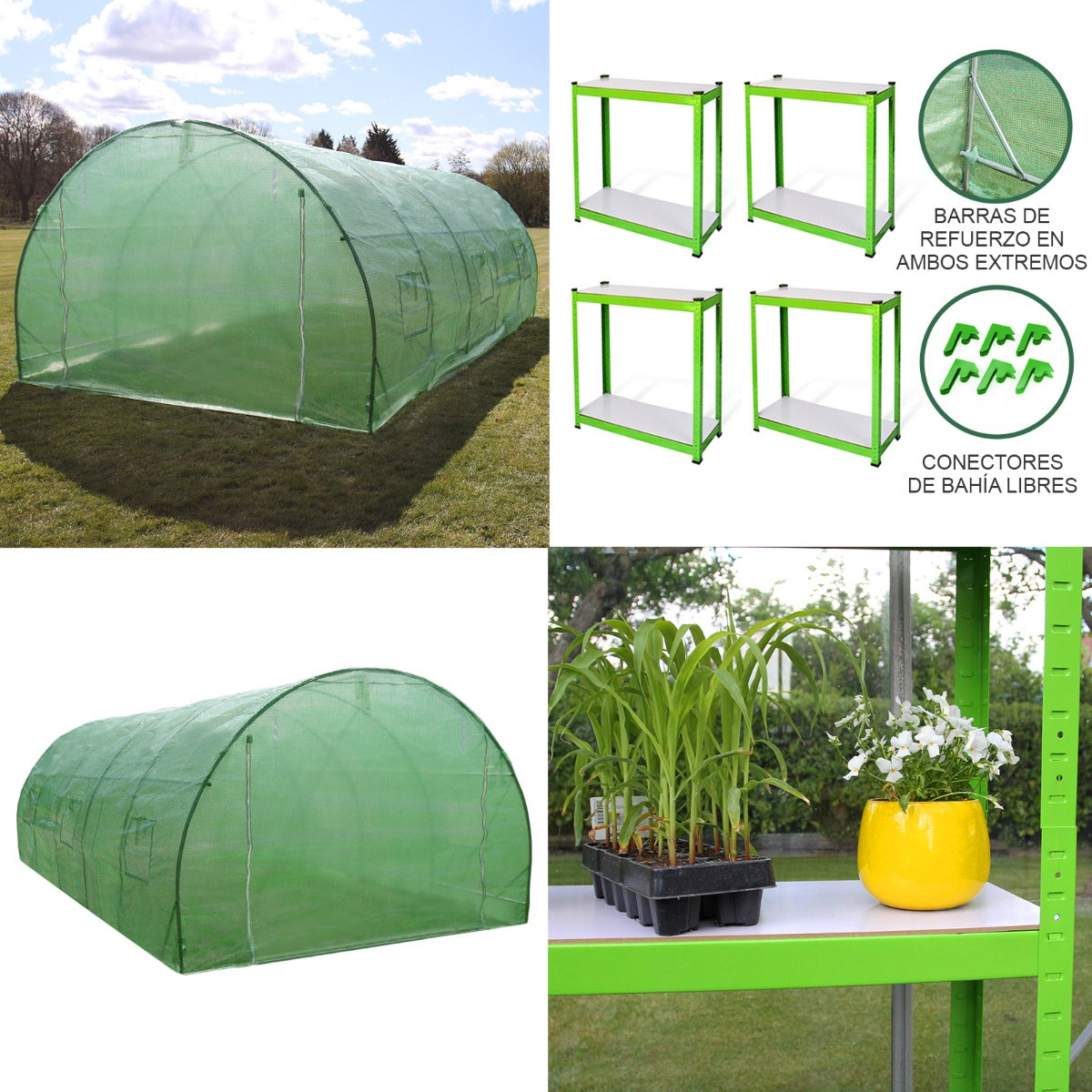 Polytunnel 25mm 6m x 3m with Racking